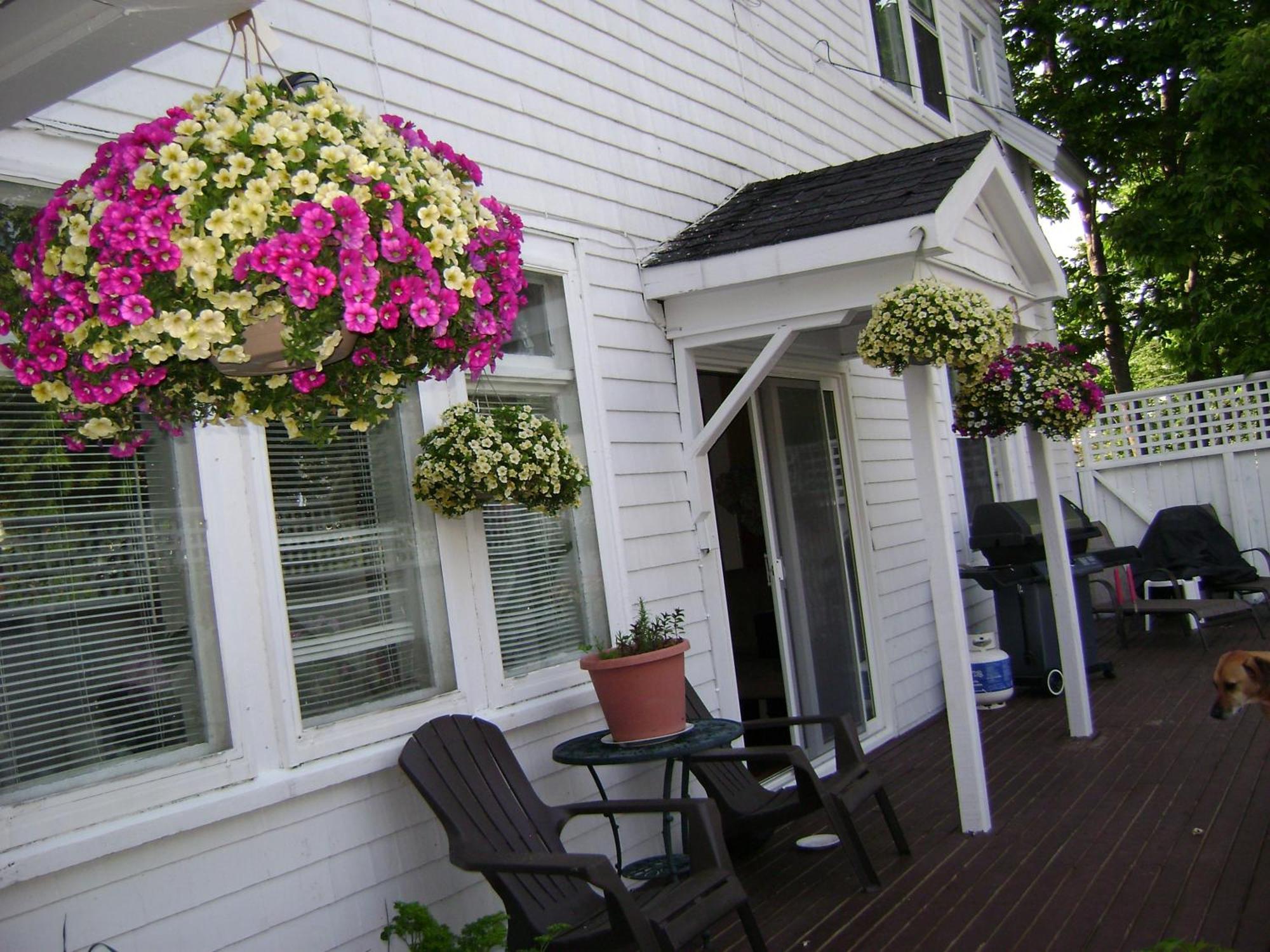 Lakelawn B&B And Motel Yarmouth Zewnętrze zdjęcie